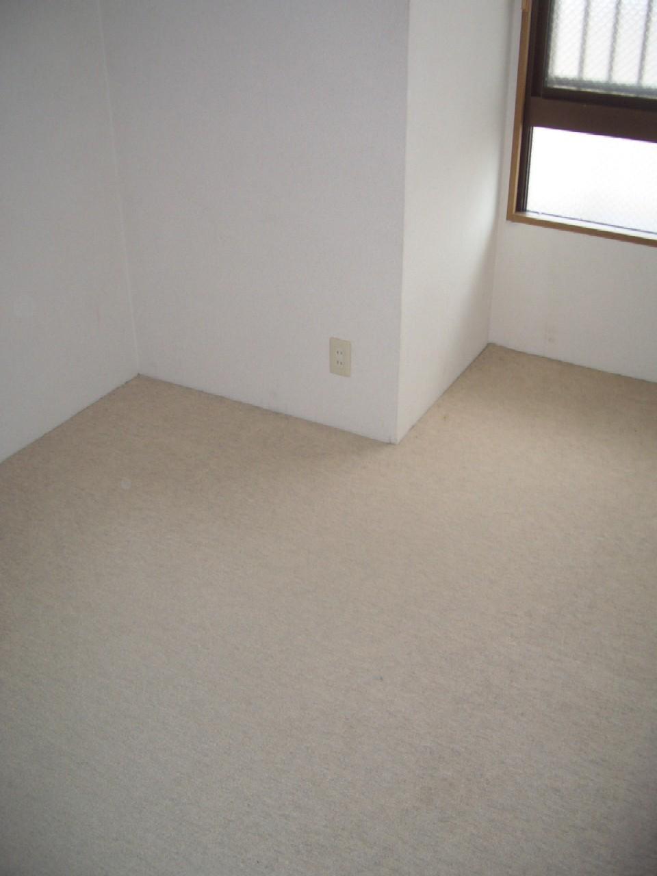 Non-living room. 4.6 Pledge (Western-style)