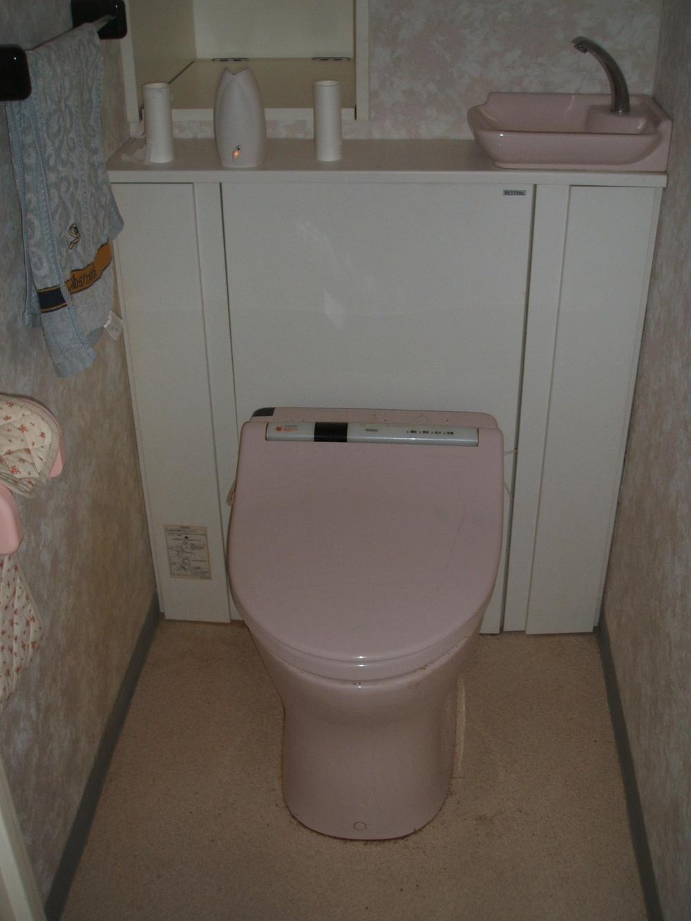 Toilet. Toilet exchange