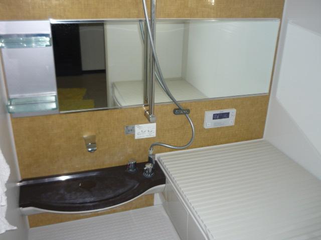Bathroom. System bus with a large mirror