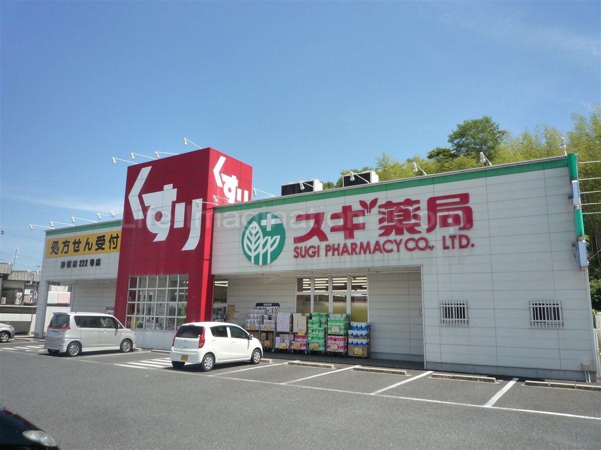 Dorakkusutoa. Cedar pharmacy Shinryo shop 3979m until (drugstore)