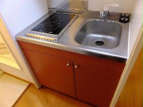 Kitchen. It is a two-burner stove electric