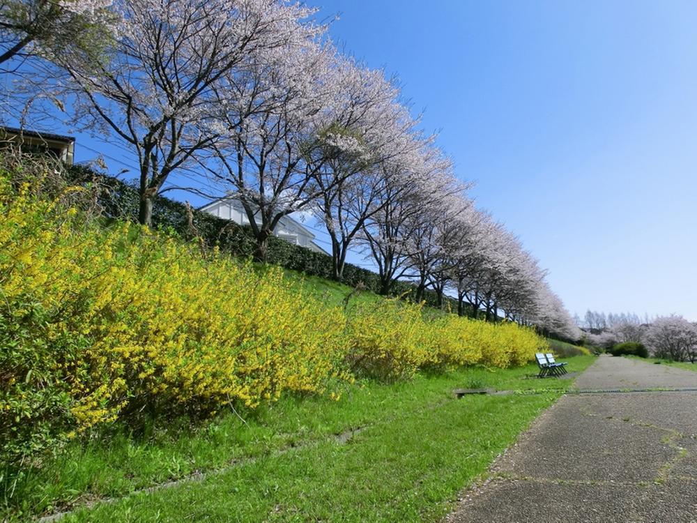 Other. It is the spring of the landscape of the promenade in the Goryo Togawa green (1 minute walk). 