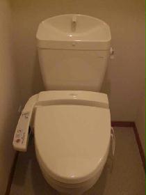 Toilet. With warm water washing toilet seat