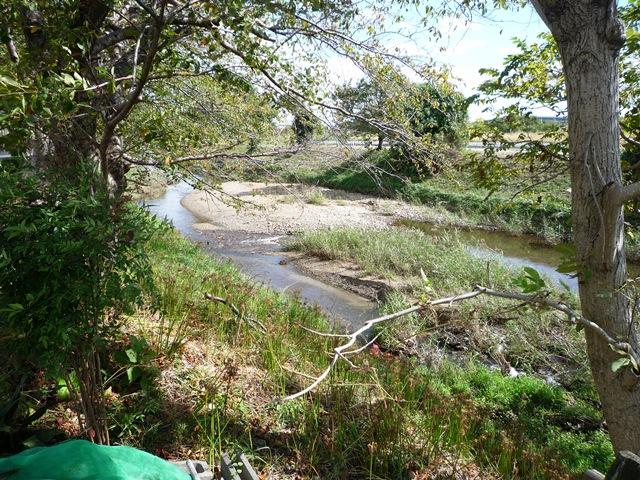 View photos from the dwelling unit. Land blessed with natural