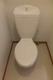 Toilet. Also it comes with a shelf on a separate