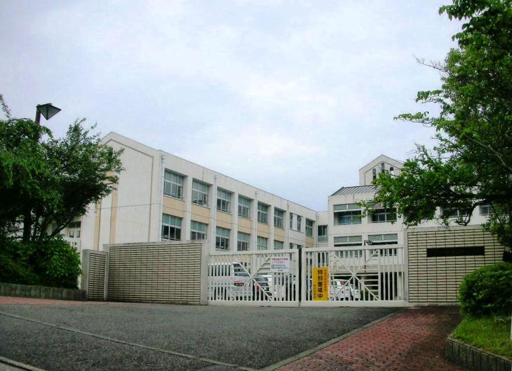 Primary school. Oginosato elementary school