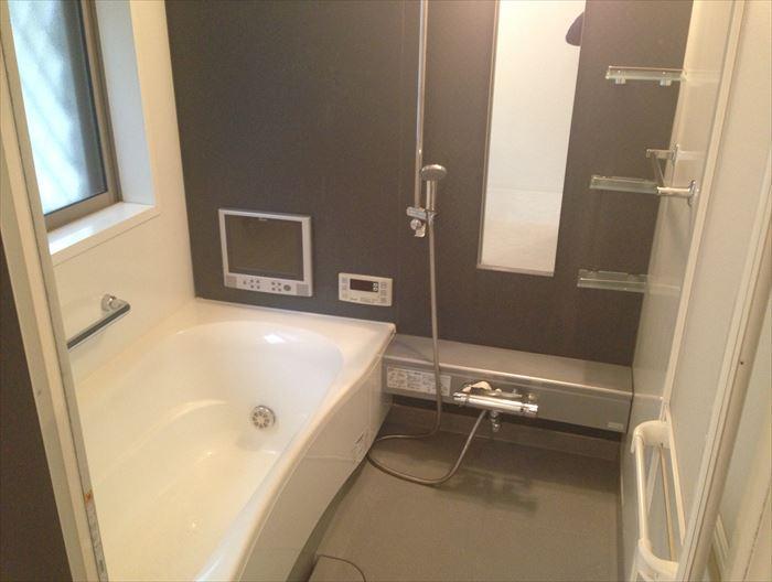 Bathroom. TV with bathroom