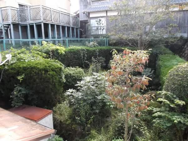 Local land photo