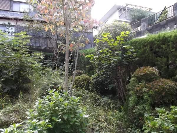 Local land photo