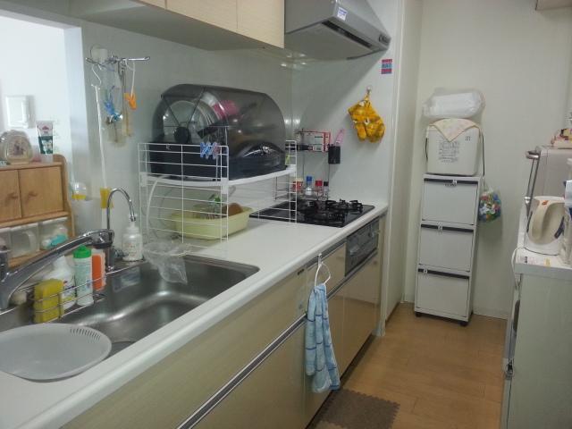 Kitchen. Counter-type system Kitchen