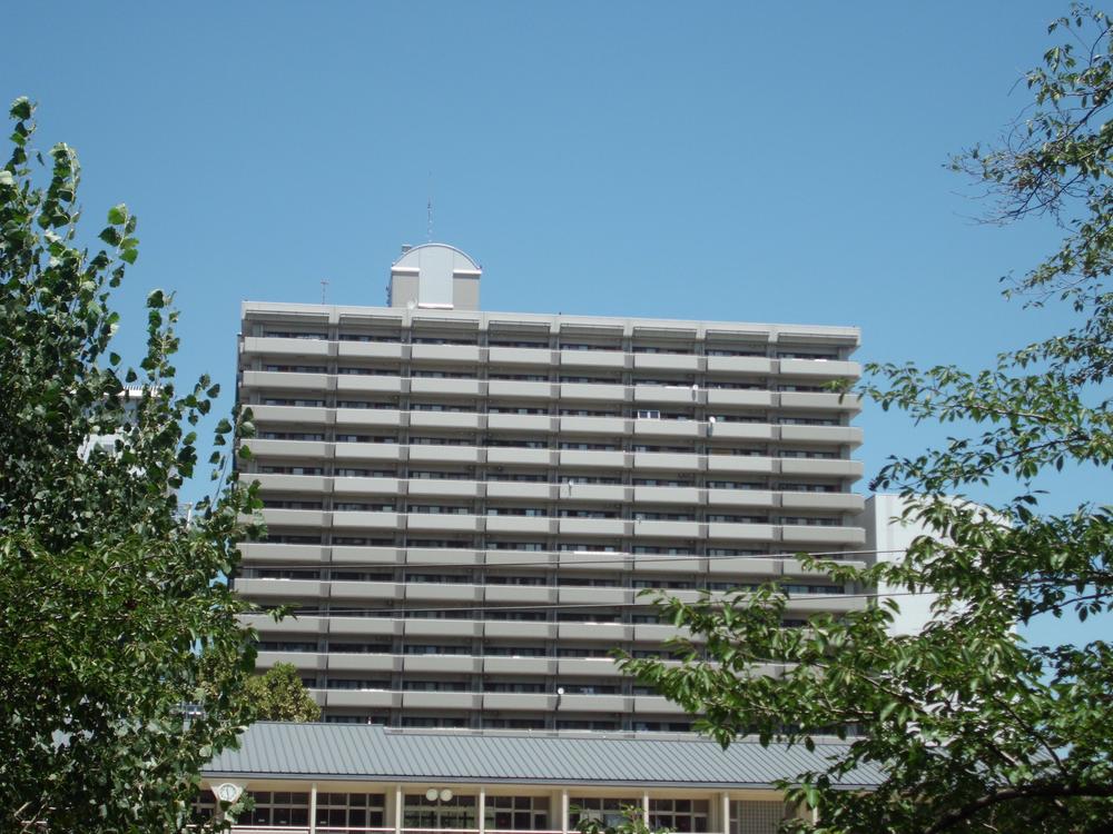 Local appearance photo. Local (July 2012) shooting