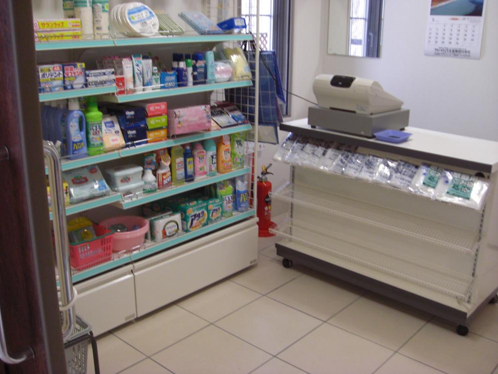 Other. Mansion in the shop