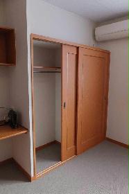 Other. Closet is also easy to use in the spacious! !