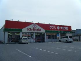 Drug store. Kirindo to Ritto shop 1498m