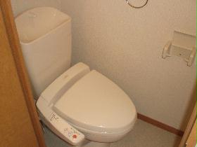 Toilet. It is convenient to have a shelf also on the bidet ○