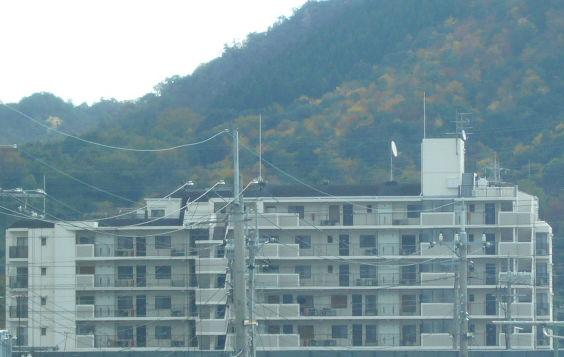 Local appearance photo. Local (11 May 2013) Shooting