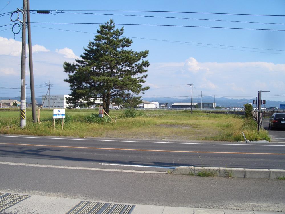 Local land photo. (Current, Tree is no longer)