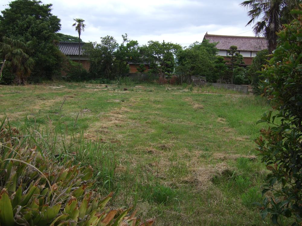 Local land photo. A peaceful green place