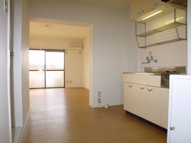 Living and room. Kitchen (2)