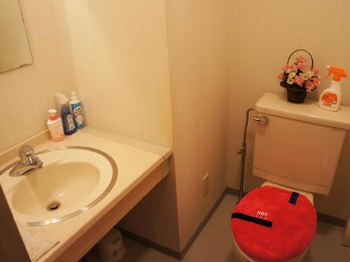 Toilet. Spacious sanitary space