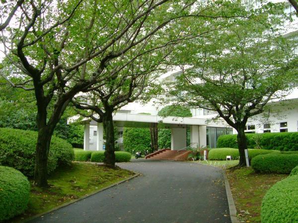 Garden. Is beautiful green cherry tree near the entrance.