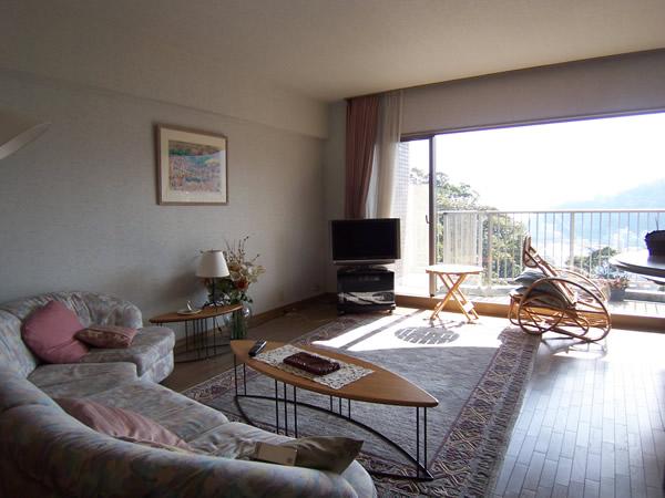 Living. Interior