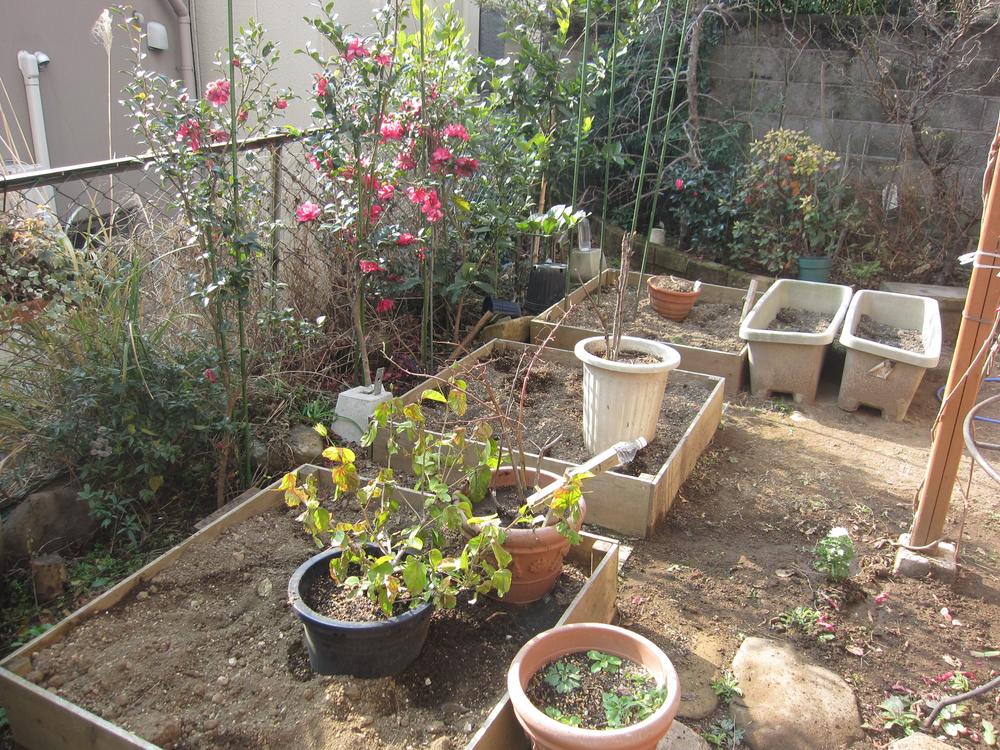 Garden. Vegetable garden space