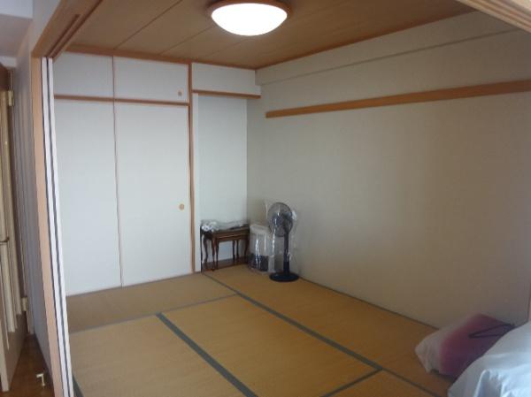 Other introspection. Japanese style room