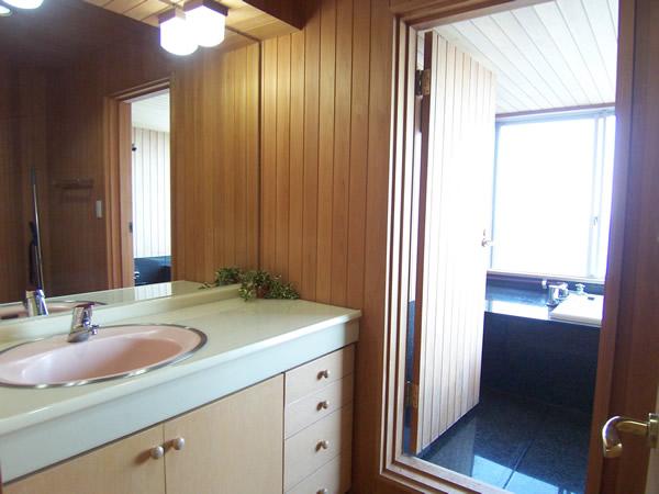 Wash basin, toilet. Interior