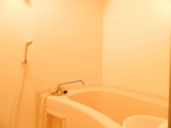Bathroom. Although there is no much chance there is also the bathroom. It is another separate type the toilet.