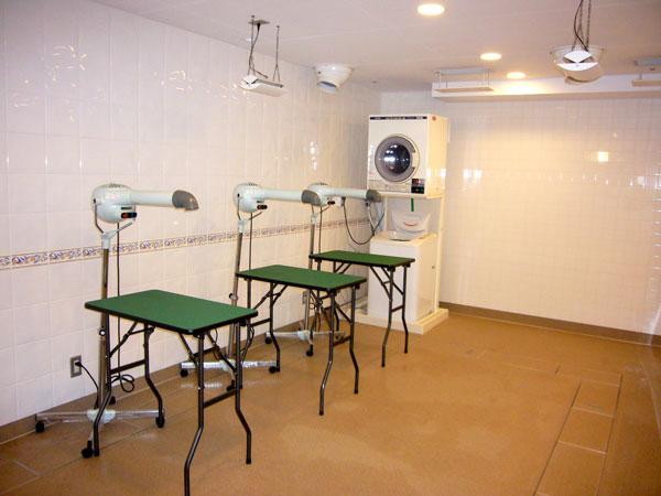 Other common areas. Common areas Pet dryer