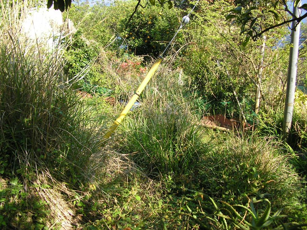 Garden. Flat ground garden Allowed