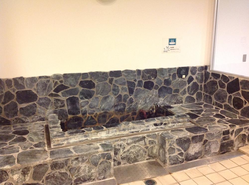 Other common areas. Hot Springs for pets