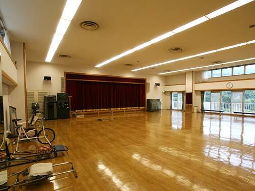 Other common areas. Gymnastics room and entertainment room