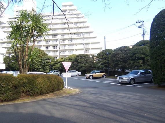 Parking lot. Common areas