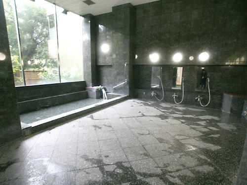 Other common areas. Hot Springs Bath House (2)