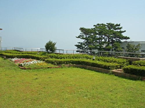 Other common areas. Rooftop garden