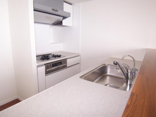 Kitchen. Interior