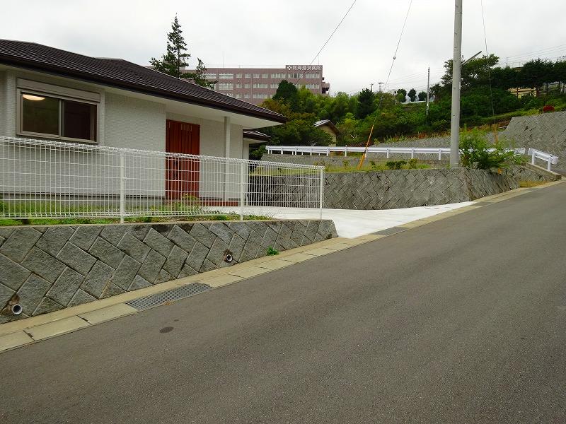 Local photos, including front road. Local (10 May 2013) Shooting