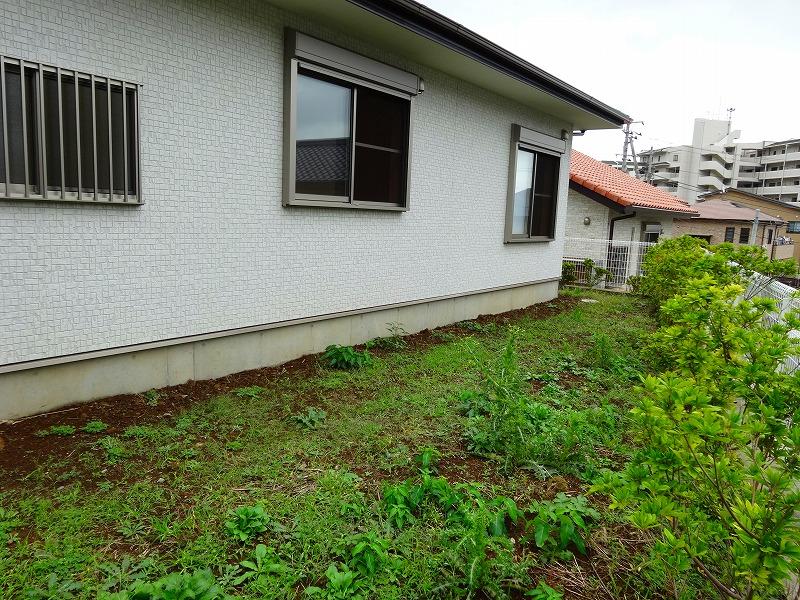 Garden. Indoor (10 May 2013) Shooting