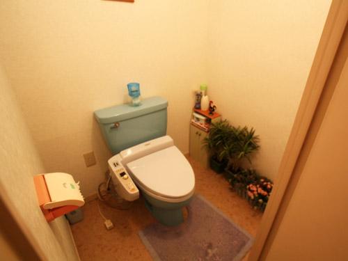 Bathroom. Washlet toilet