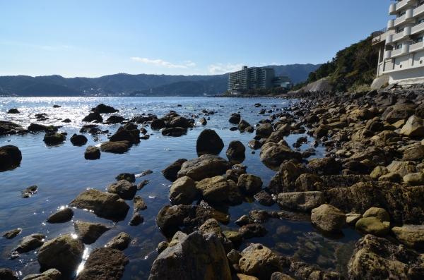 Other local. Rocks within walking in front of the apartment of the eye. Seaweed and shellfish, Collection of such fish is prohibited