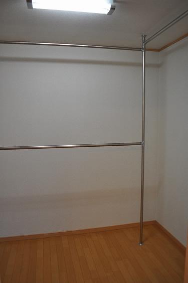 Other introspection. Large walk-in closet