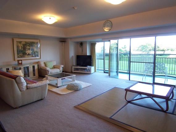 Living. Interior