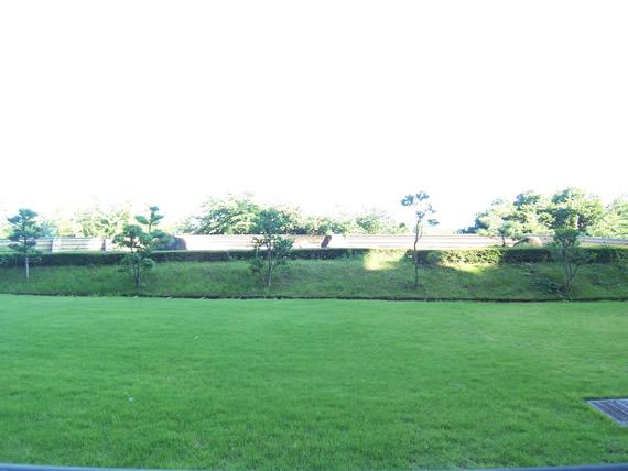 Other common areas. garden