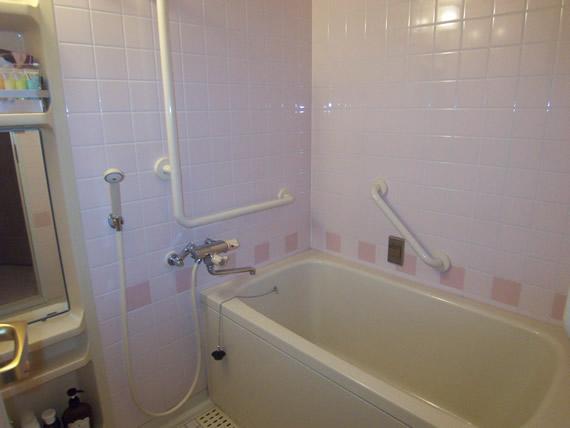 Bathroom. Interior
