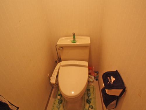 Toilet. Washlet toilet