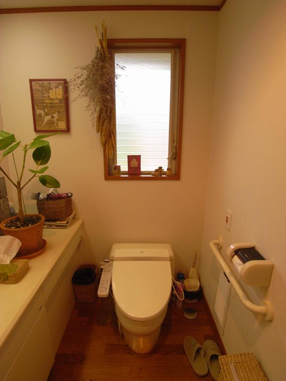 Toilet. Interior