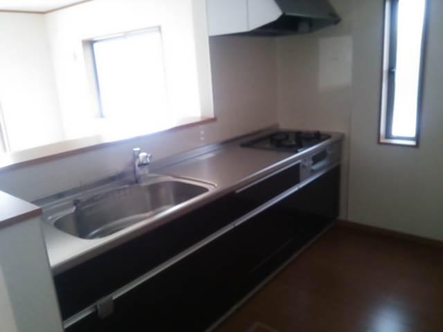 Other. The kitchen is the fish grilled stove three-neck stove. Water is water purification function. 