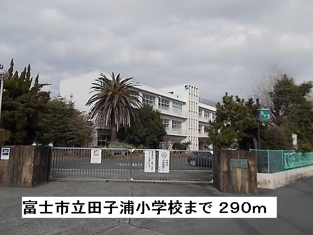 Primary school. 290m to Fuji City Tatsuta Coura elementary school (elementary school)